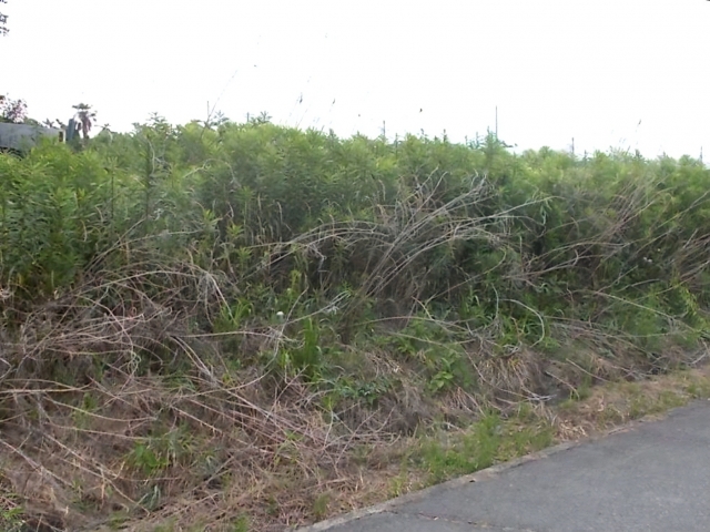 使用していない農地イメージ写真