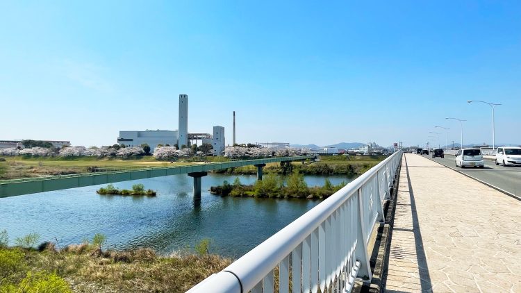 小川橋から見た市川